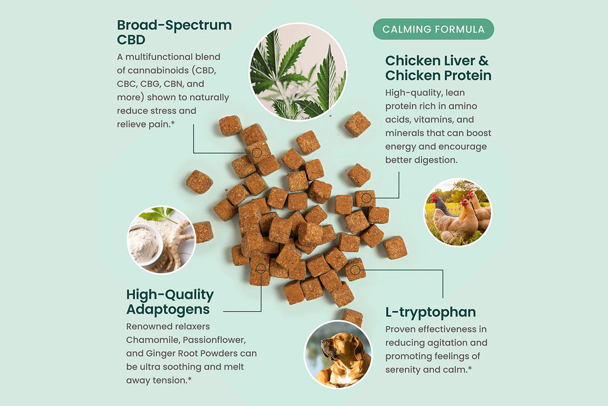 CBD Calming Dog Chews - 60ct