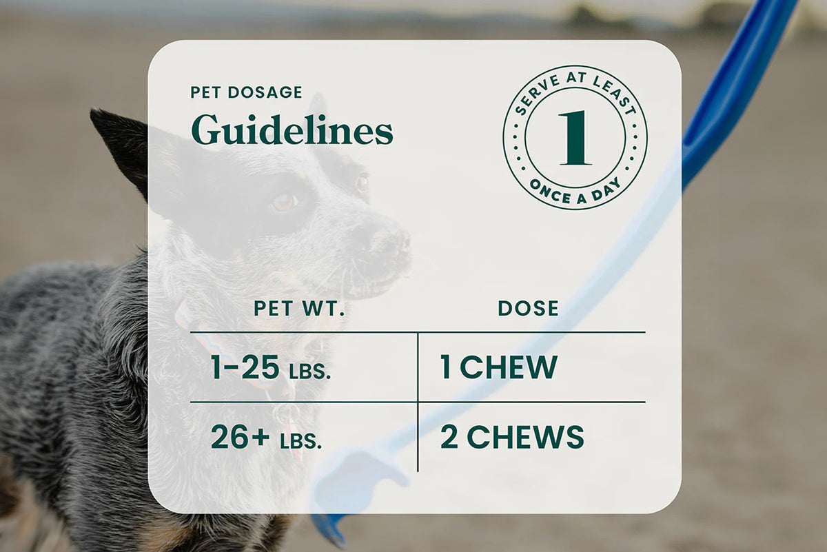 CBD Mobility Dog Chews - 60ct