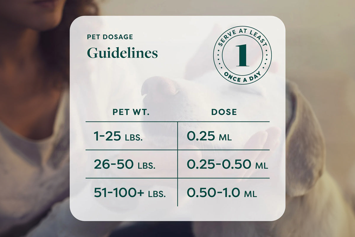 CBD Pet Tincture (1 oz)