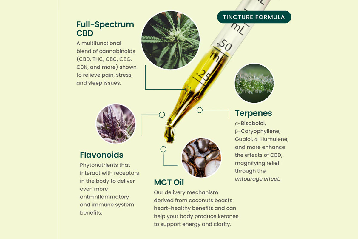 CBD Pet Tincture (1 oz)