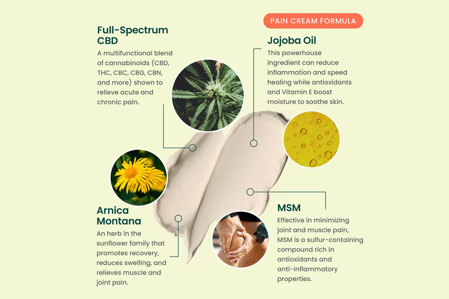Ingredients and benefits of the pain cream formula